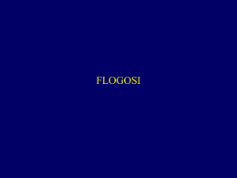 FLOGOSI