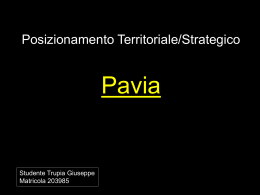 Posizionamento Territoriale Strategico (PPT, 1.26
