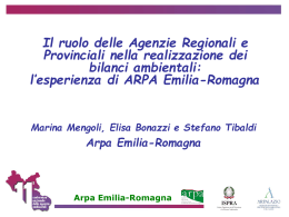 RAMEA Presentazione Conferenza Agenzie 2009