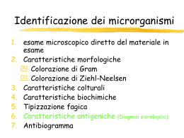 4 Diagnostica batterica II