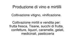Produzione di vino e mirtilli