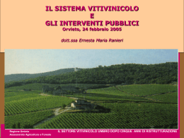 Strade del vino