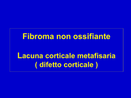 Fibroma non ossificante - lerat
