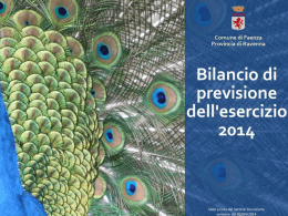 Slide proposta bilancio 2014