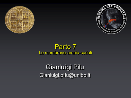 Nessun titolo diapositiva