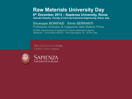 Raw Materials University Day 6 th December 2013 – Sapienza