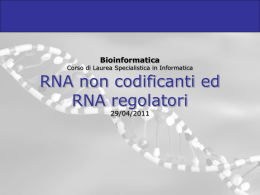 10-ncRNA_microRNA_2011