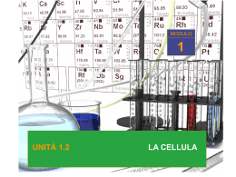 unita` 1.2 la cellula 1
