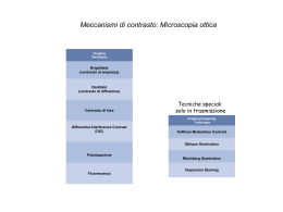 Lezione 6