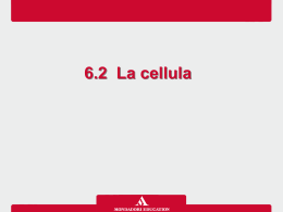 6_2_la_cellula - Mondadori Education