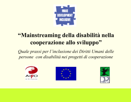 Mainstreaming disability in EU development cooperation policies