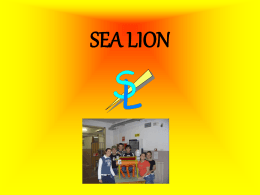 SEA LION JA