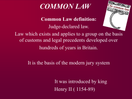 Common Law - marilena beltramini