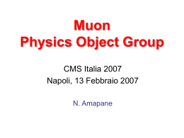 Muon POG - INFN Napoli