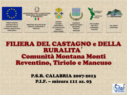 presentazione quadro sintetico del settore castanicolo sul territorio
