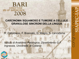 028 - R.Caltabiano, F.Brancato, et al.