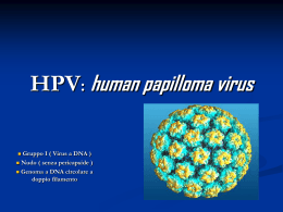 HPV: human papilloma virus (Luca)