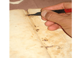 Disinfestazione con atmosfere modificate