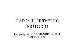 CervelloMotorio (vnd.ms-powerpoint, it, 1920 KB, 12/10/03)