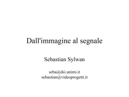 Segnale video