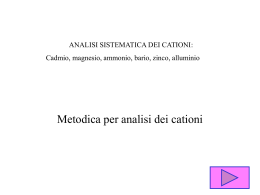 Analisi_dei_cationi_definitiva_12-02-07