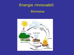 Presentazione Biomassa