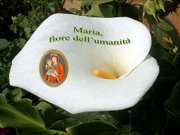 Maria Fiore dell`umanit&agrave; (Chiara di Lubich)