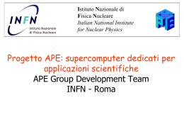The APE experience Piero Vicini INFN