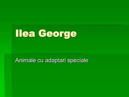Ilea George - clasaiv-mariusbirsan