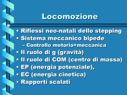 Locomozione (vnd.ms-powerpoint, it, 4815 KB, 12/4/03)