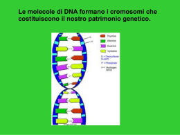 DNA e Mendel (1)