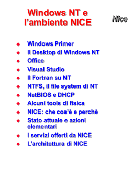 NICE (Network Integrated Computer Environment)