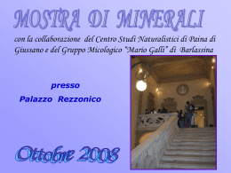4B - Minerali - Scuola Primaria Barlassina