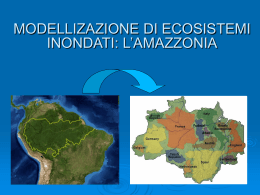 La Regione Amazzonica - Dipartimento di Ingegneria dell