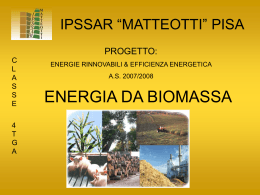 Relazione dell`IPSACT "G. Matteotti"
