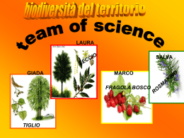 team of science