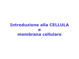 diapositive "cellula e membrana cellulare"