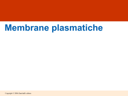 lez.6 - le membrane plasmatiche