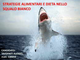 Strategie alimentari e dieta nello squalo bianco