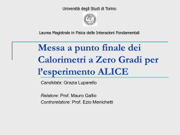 Messa a punto finale dei calorimetri a Zero Gradi per l`esperimento