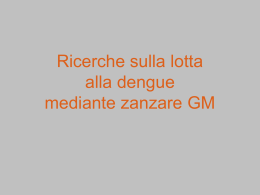 dengue - finalità del sito