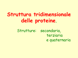 Lezione_struttura_proteine_sec.terz._quat