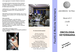 Brochure Master 2009