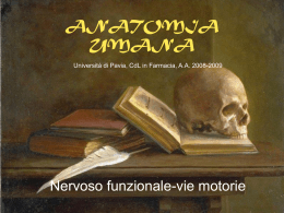 Lezione 25 - Università degli Studi di Pavia