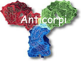 anticorpi - Università dell`Insubria