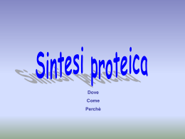 File scaricabile sulla Sintesi Proteica