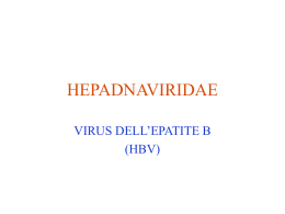 05 - HBV - HDV marcon