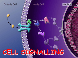 010_Cell_Signalling