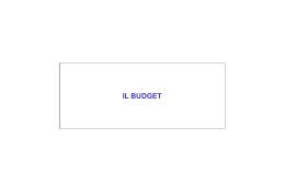 IL BUDGET