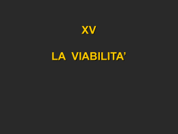 22 - XV - VIABILITA`